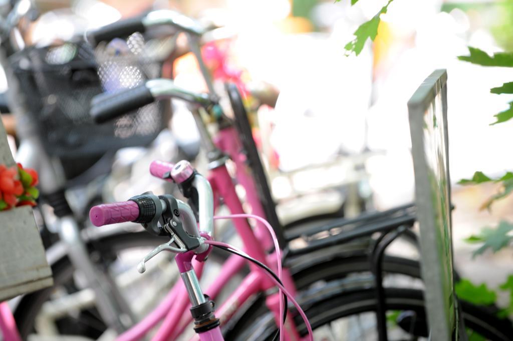 Bungalowpark Hoge Hexel エクステリア 写真